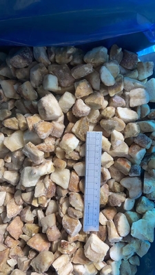 2025 New Crop high quality frozen Boletus Edulis Mushrooms