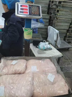 High Quality Good Price Frozen Halal Lamb Sheep Tail Fat Available Frozen Lamb Fat Tail for Sale