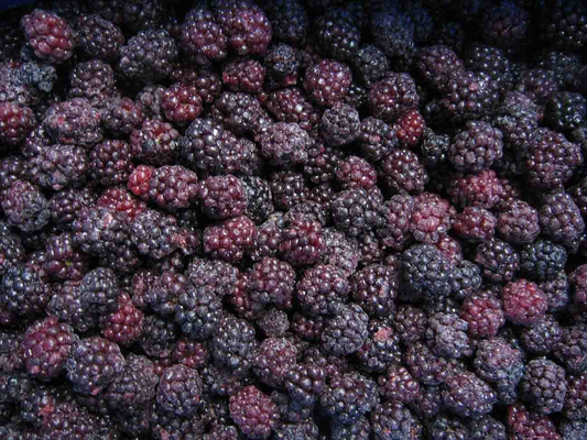 Frozen Fruits Berries Hot Sale and High Quality IQF Frozen Blackberry