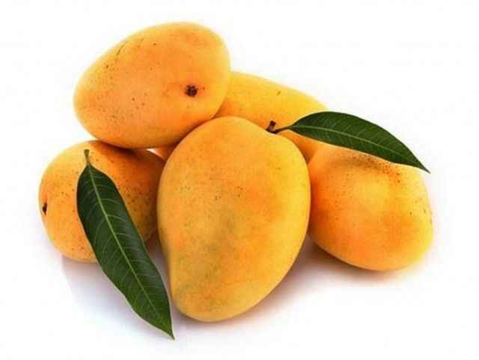 IQF Frozen Fresh Mango Diced or Halves in Frozen Fruits