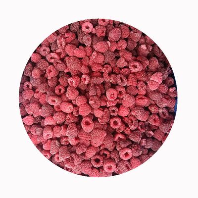 High Quality Fresh Frozen Raspberry Handpicked for Sweet Taste for Juices Desserts Milkshakes
