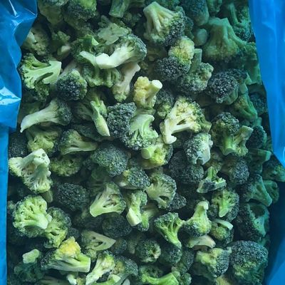 High Quality IQF Frozen Broccoli Ready Stock for Restaurants Wholesale Price