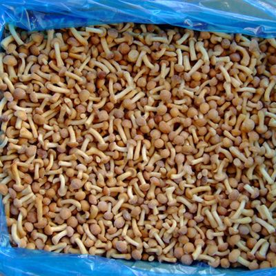 Fruits Frozen Mushroom IQF Frozen Nameko