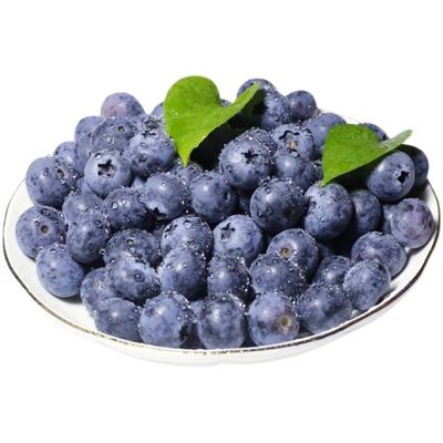 IQF Sweet Whole Blueberries Frozen Blueberries