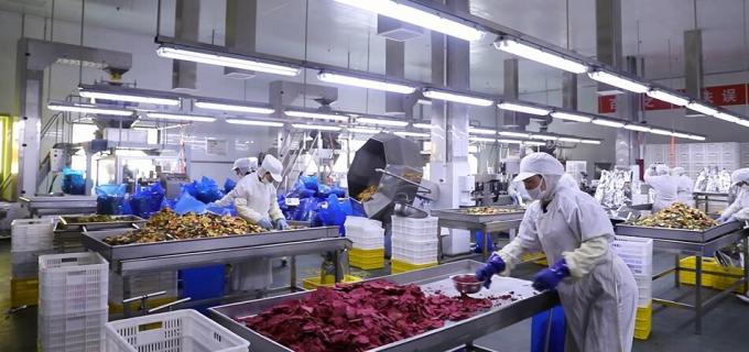 High Quality Bulk Frozen Raspberries Frozen Raspberry Bulk Packaging Fruit 9