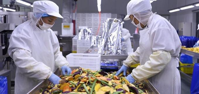 High Quality Bulk Frozen Raspberries Frozen Raspberry Bulk Packaging Fruit 10