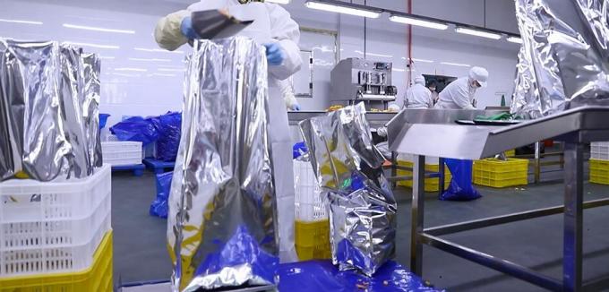 High Quality Bulk Frozen Raspberries Frozen Raspberry Bulk Packaging Fruit 11