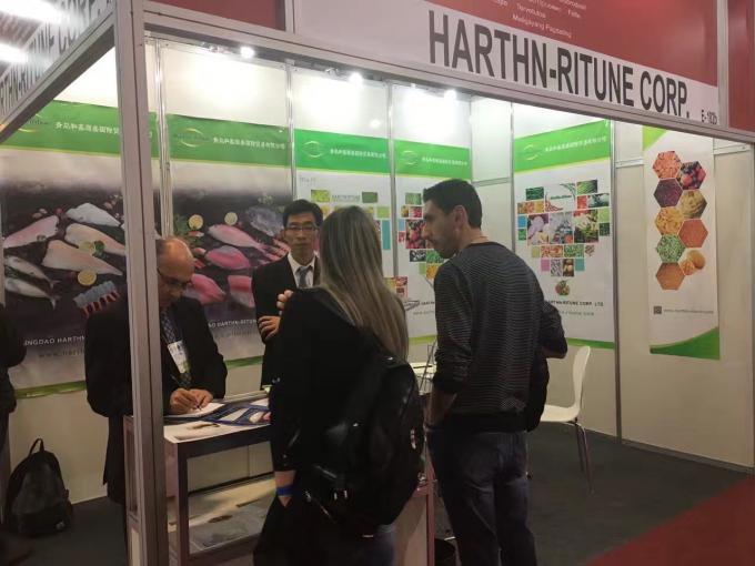 High Quality Bulk Frozen Raspberries Frozen Raspberry Bulk Packaging Fruit 19