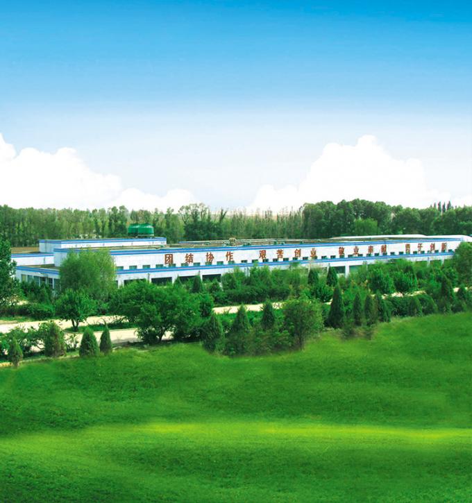 Sinocharm 4-Star Product BRC-A Fresh Yellow Peach 10x10mm Frozen Diced Fruits Cubes IQF Yellow Peach Dices 8