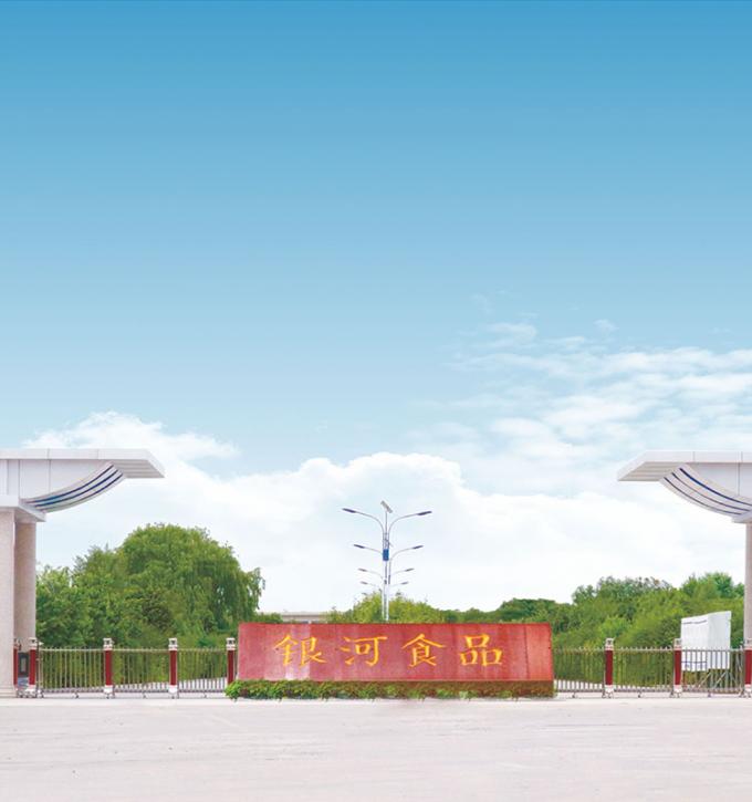 Sinocharm 4-Star Product BRC-A Fresh Yellow Peach 10x10mm Frozen Diced Fruits Cubes IQF Yellow Peach Dices 9