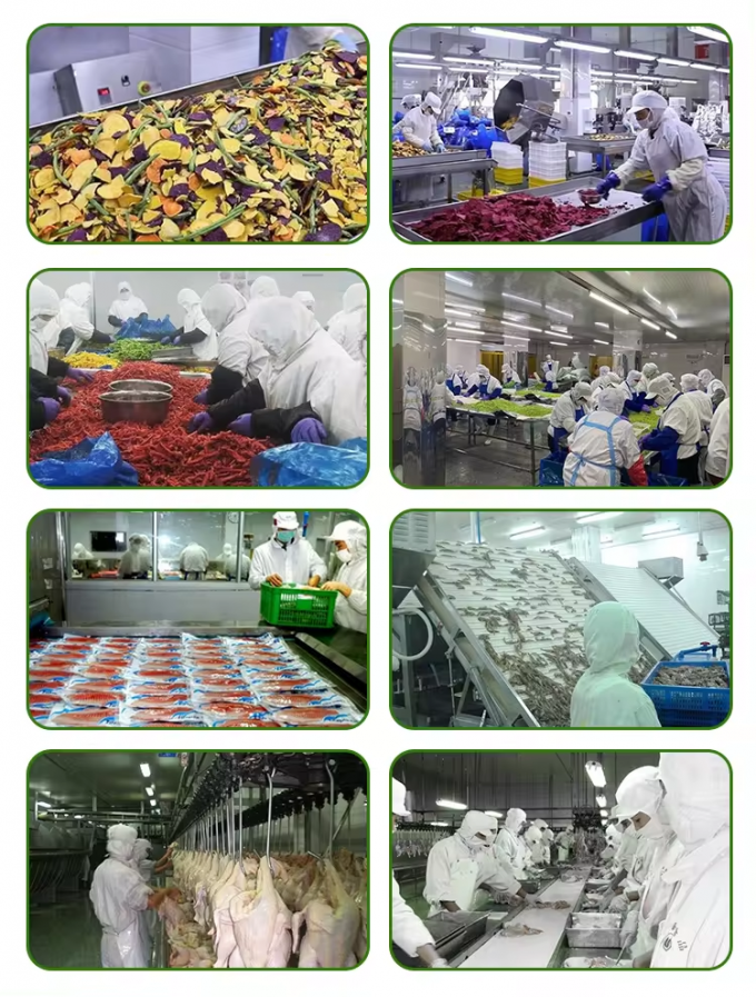 Wholesale Bulk Packed Frozen Pumpkin Diced Iqf Pumpkin Chunks Frozen Vegetables 5