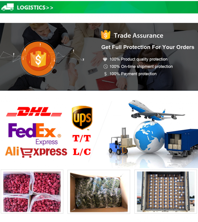 Wholesale IQF Frozen Pineapple Cube Frozen Fruits with Good Price 5