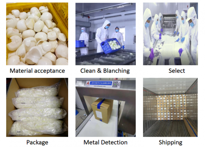 Hot Sales of Frozen Onion Dices for Wholesales 1