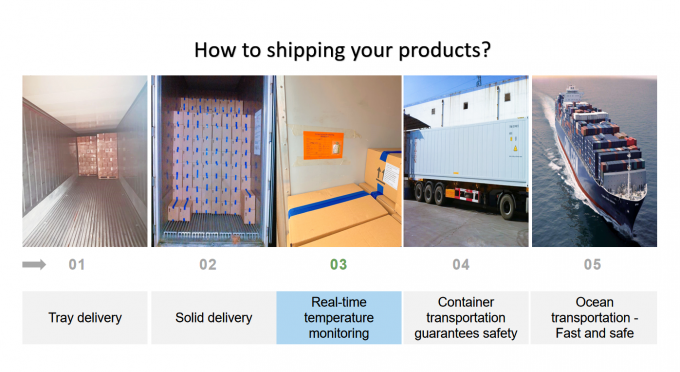 Frozen Mushrooms IQF BOLETUS EDULIS Grade A  24 Months Shelf Life ISO HACCP BRC KOSHER HALAL Certified 10 tons MOQ 3