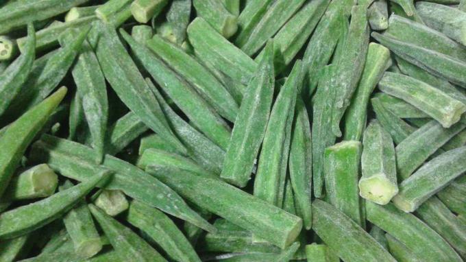 Chinese Supply Best Quality Good Price Iqf Frozen Vegetable Whole Okra Gumbo 0