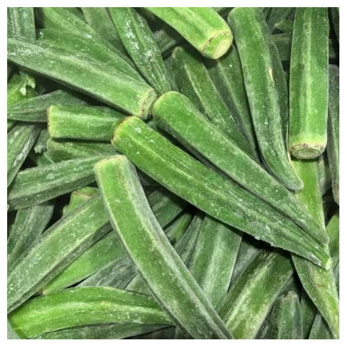 Chinese Supply Best Quality Good Price Iqf Frozen Vegetable Whole Okra Gumbo 2