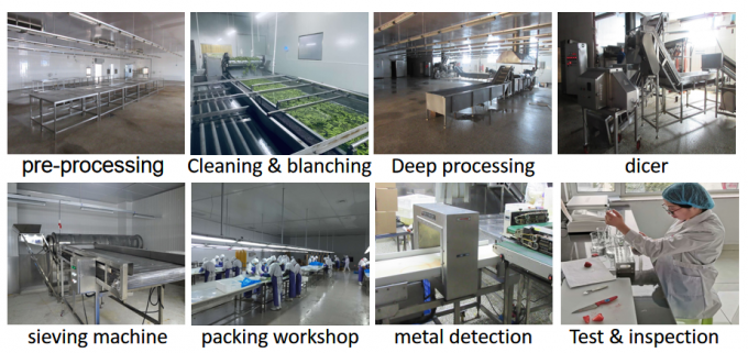 Chinese Supply Best Quality Good Price Iqf Frozen Vegetable Whole Okra Gumbo 8