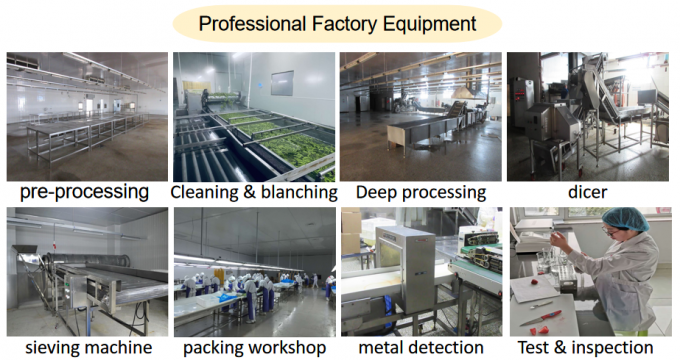 Manufacturer Factory Price IQF High Quality Fresh Food Frozen Raspberry Serbia for Export 6