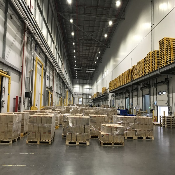 Cheap Price Top Quality Low Fat Clean HALAL Approved Frozen Lamb Liver 1