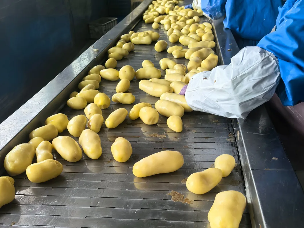 Loading and Timely Delivery of Frozen Straight Cut Fries French 1