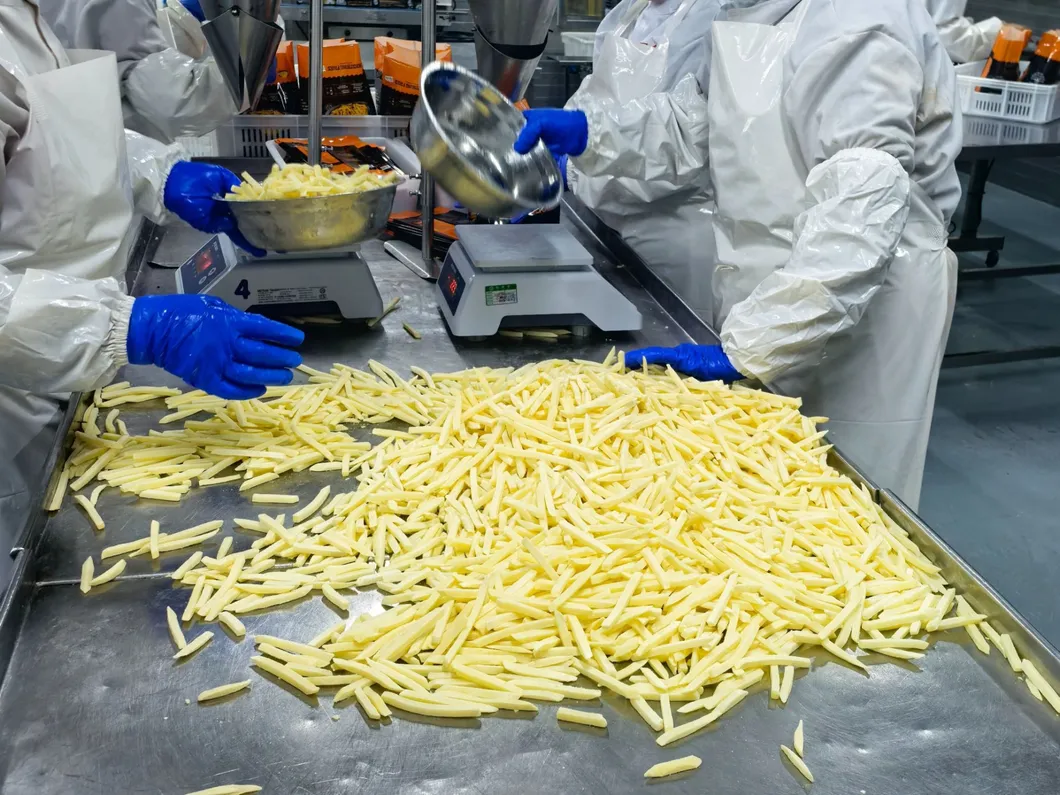 Loading and Timely Delivery of Frozen Straight Cut Fries French 2