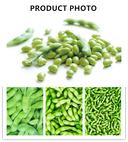 Bulk Organic High-Protein Frozen Vegetable Ready to Cook IQF Soya Beans 0