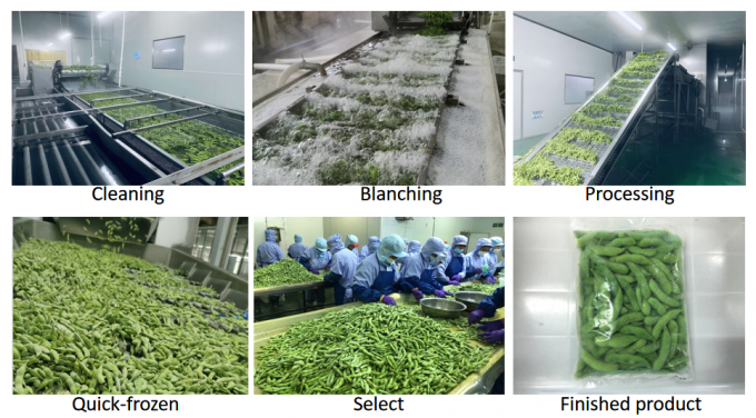 Bulk Organic High-Protein Frozen Vegetable Ready to Cook IQF Soya Beans 4