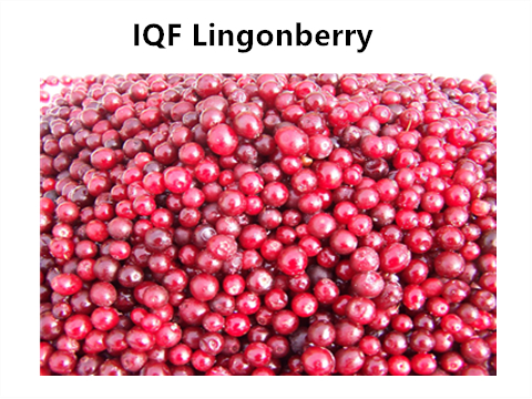 BRC,KOSHER,HALAL, IFS, BSCI IQF Frozen Lingonberry Cranberry 100% Natural Fruit Jam Bulk Packaging with 2 Years Shelf Life Pail 0