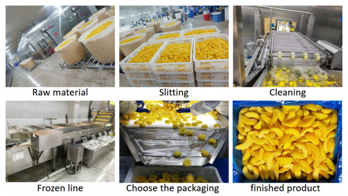 Top Quality 10KG Bulk Frozen Yellow Peach Halves - Ideal for Canned & Export Use 3