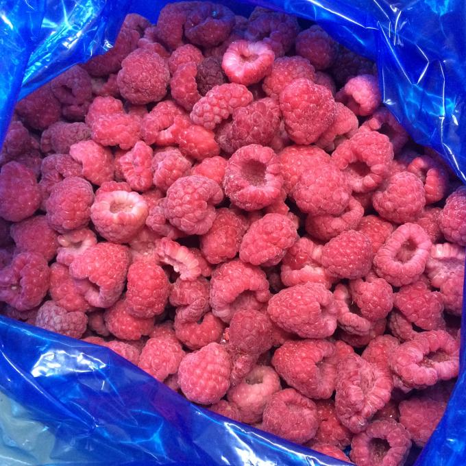 Manufacturer Factory Price IQF High Quality Fresh Food Frozen Raspberry Serbia for Export 4