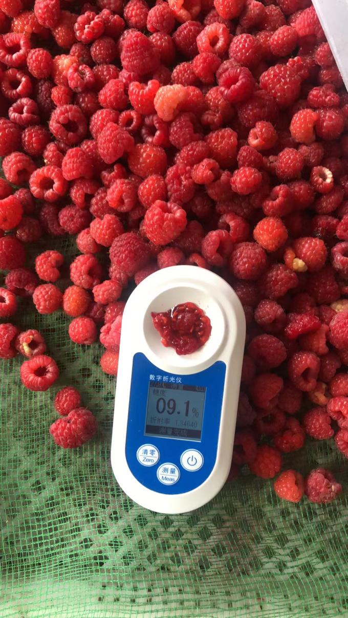 Manufacturer Factory Price IQF High Quality Fresh Food Frozen Raspberry Serbia for Export 5