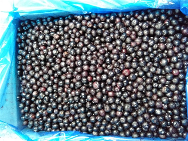 IQF Frozen Whole Blueberries Premium Baking and Smoothie Toppings Intensely 2