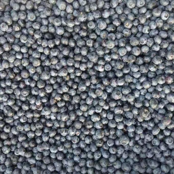 IQF Frozen Whole Blueberries Premium Baking and Smoothie Toppings Intensely 1