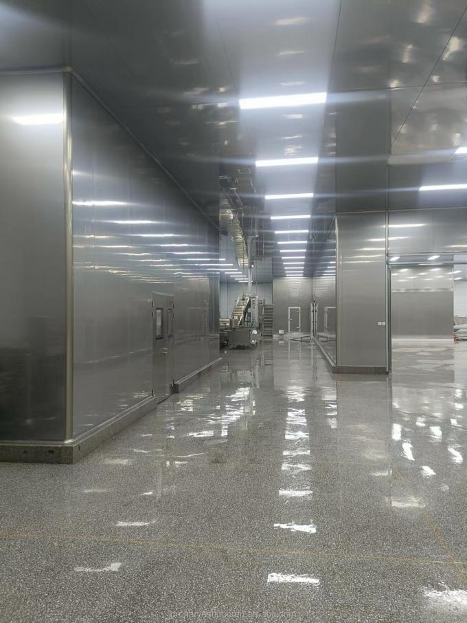 Hot Products Factory Price White Color BRC HACCP Certificates Frozen Vegetables IQF Organic Garlic 5