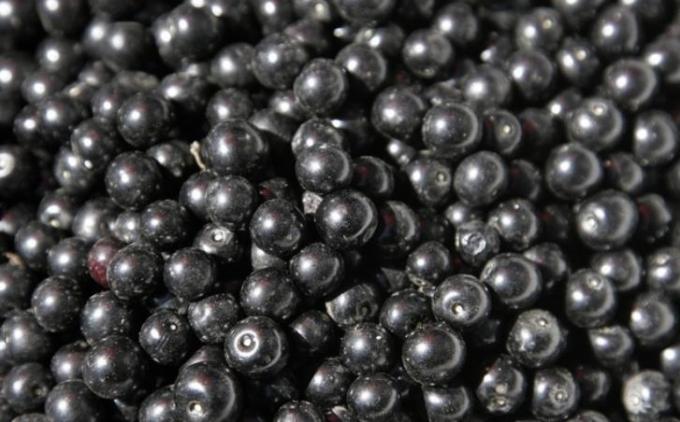 New Corp Top Quality Good Price IQF Frozen Black Currant Frozen Fruits 5