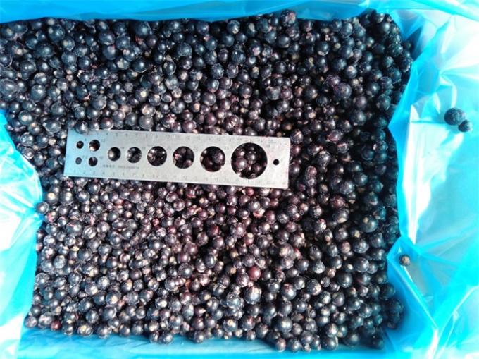 New Corp Top Quality Good Price IQF Frozen Black Currant Frozen Fruits 6