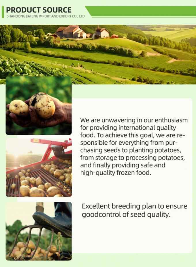 Automatic Frozen French Fries Frozen French Fries Organic IQF French Potato Fries Bulk Packaging 10 Kg Fresh Material 1