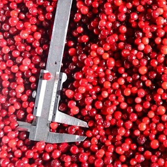 OEM/ODM Hot Selling Economical Bulk IQF Frozen Lingonberry High Demand IQF Frozen Fruit 0