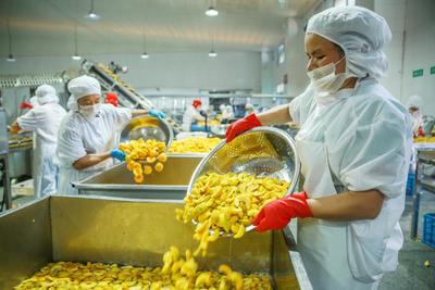 IQF Organic Yellow Peach Halves Frozen Fruits Sweet Taste Bulk Packaged Preserved Water Pulp Whole Cubes Dice Halve Available 8