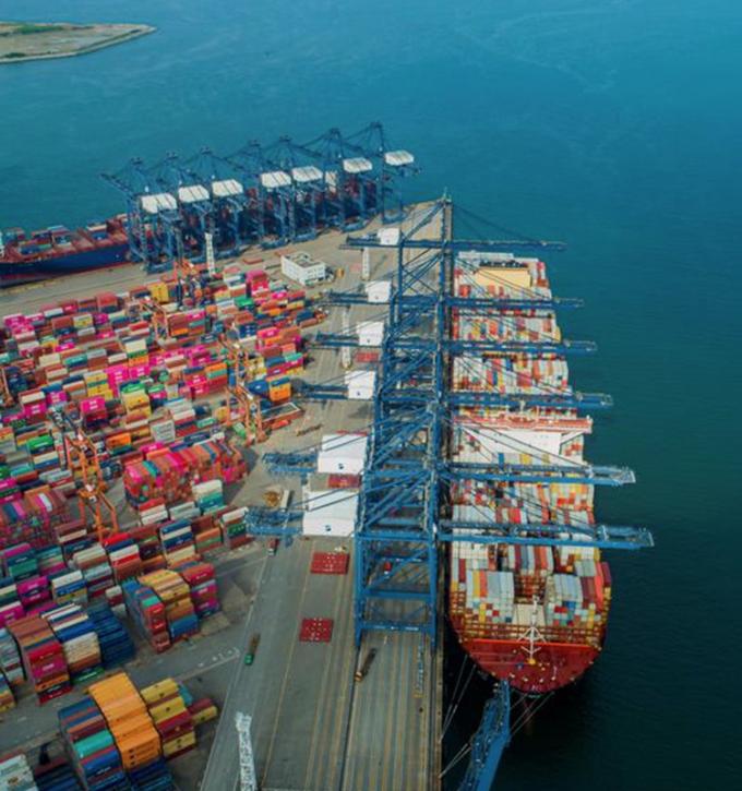 IQF Organic Yellow Peach Halves Frozen Fruits Sweet Taste Bulk Packaged Preserved Water Pulp Whole Cubes Dice Halve Available 13