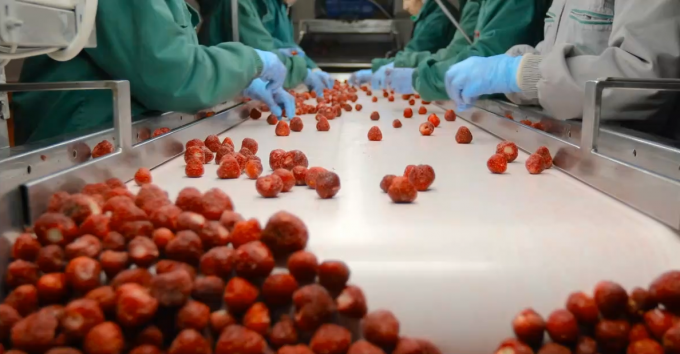 High Quality IQF Frozen Apricot Halves Hot Sales for Wholesale and Retail Factory Price Water Preservation Bulk Packaging 3