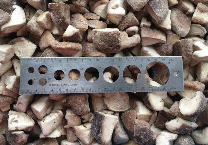 Origin China Hot Selling Iqf Food Mushroom Cultivation Shiitake Mushroom for Frozen Shiitake 2