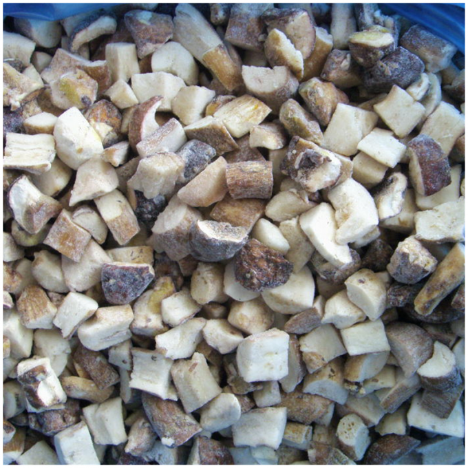 Bulk IQF Frozen Shiitake Mushroom Hot-selling 0