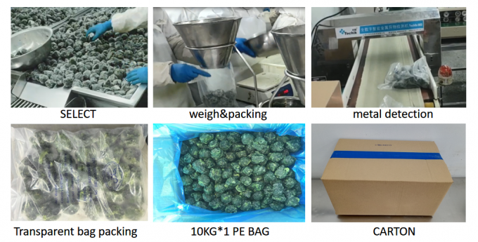 Hot-selling Frozen Spinach Ball Delicious IQF Frozen Vegetables China-origin BRC/HACCP/ISO/HALAL/KOSHER Certified 4