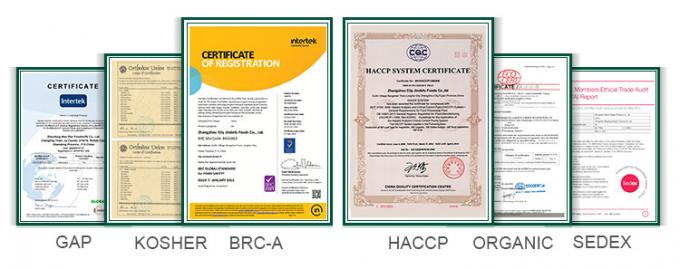 HALAL Certified Frozen Vegetables Factory IQF Tomato Dices 10mm Frozen Diced Tomatoes in China 1