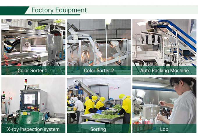 HALAL Certified Frozen Vegetables Factory IQF Tomato Dices 10mm Frozen Diced Tomatoes in China 2