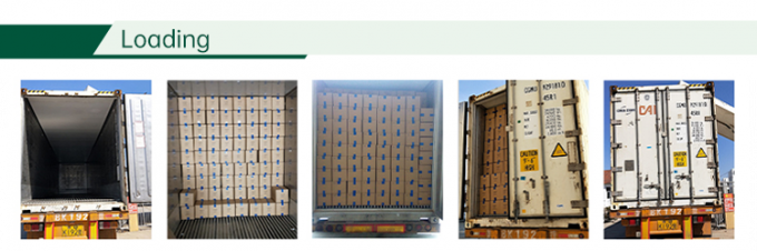 HALAL Certified Frozen Vegetables Factory IQF Tomato Dices 10mm Frozen Diced Tomatoes in China 4