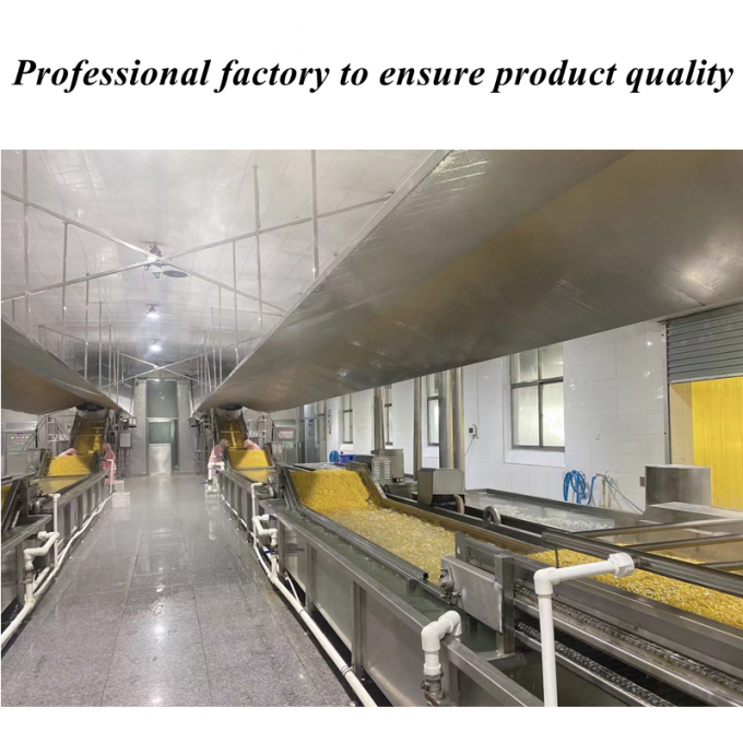 High Quality Competitive Price Frozen Corn Sweetcorn Kernels Organic Non-GMO Bulk Packing 1