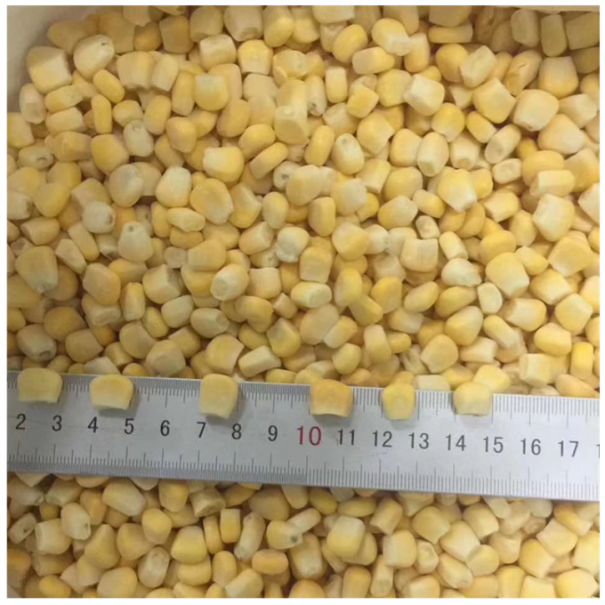 High Quality Competitive Price Frozen Corn Sweetcorn Kernels Organic Non-GMO Bulk Packing 2