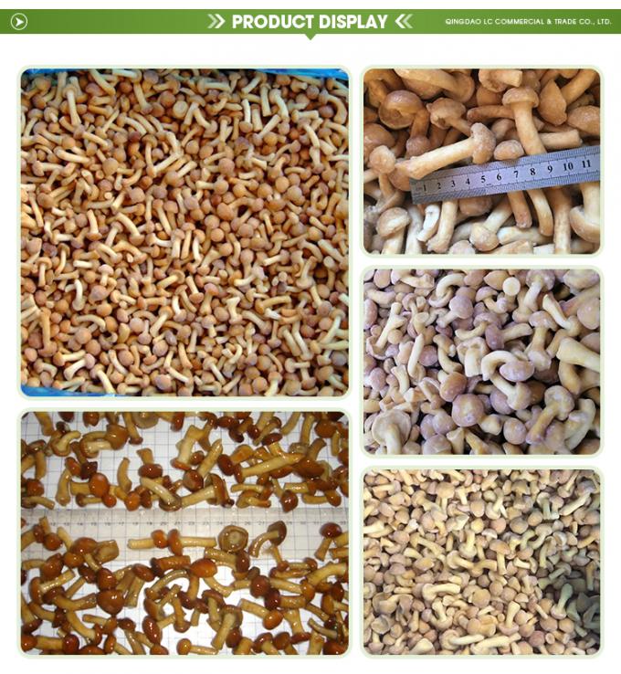 Wild Cultivated Organic Mushrooms Healthy Natural Nutritious Fresh Whole Frozen Mushroom IQF Frozen Nameko 1